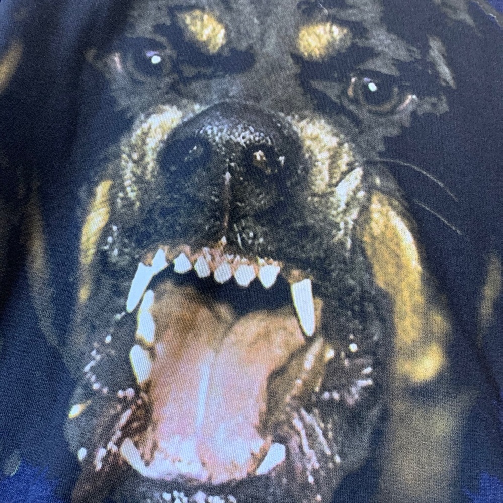 Givenchy Rottweiler Sweater - Picture 4 of 5